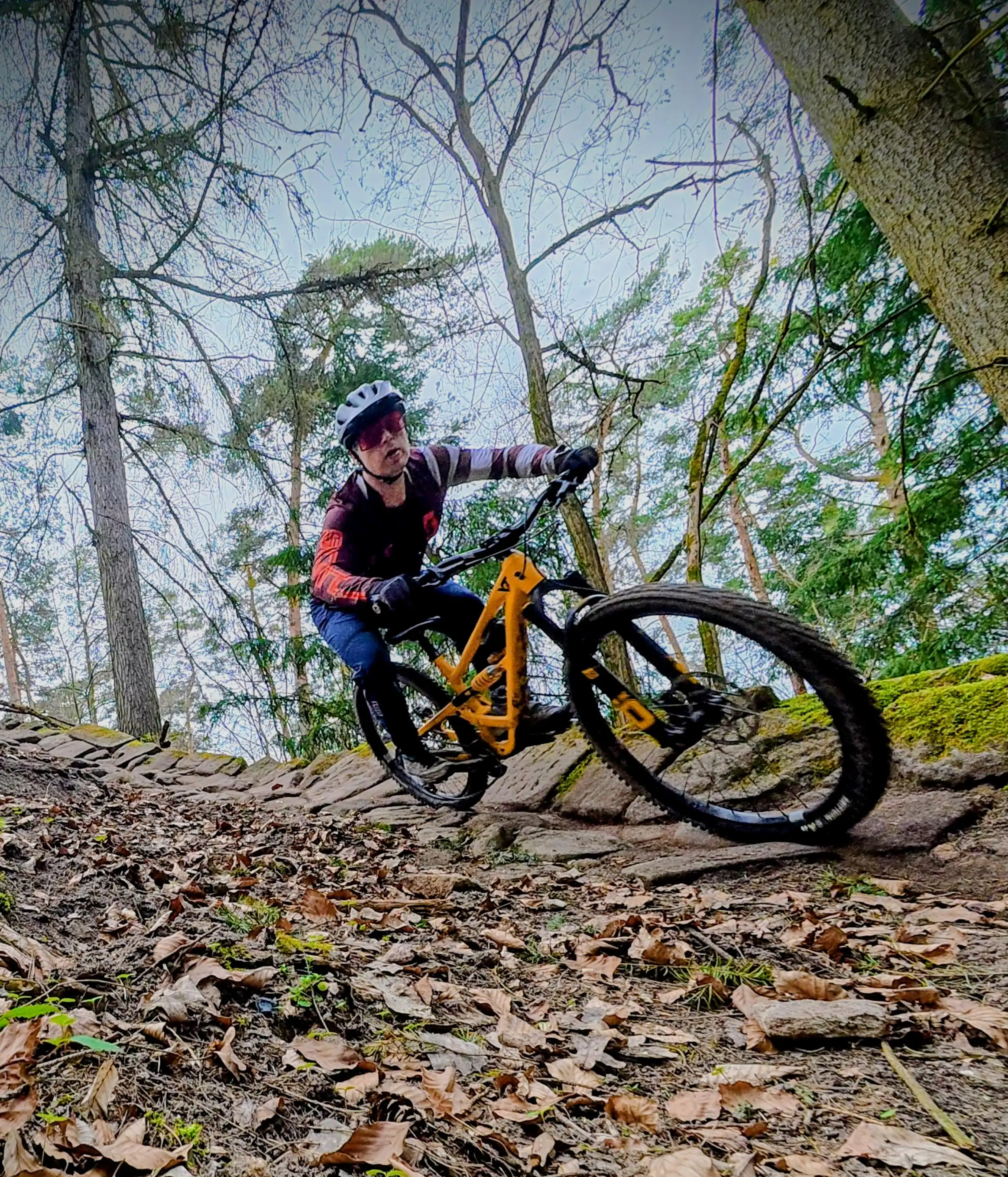 Trailworks Fürth