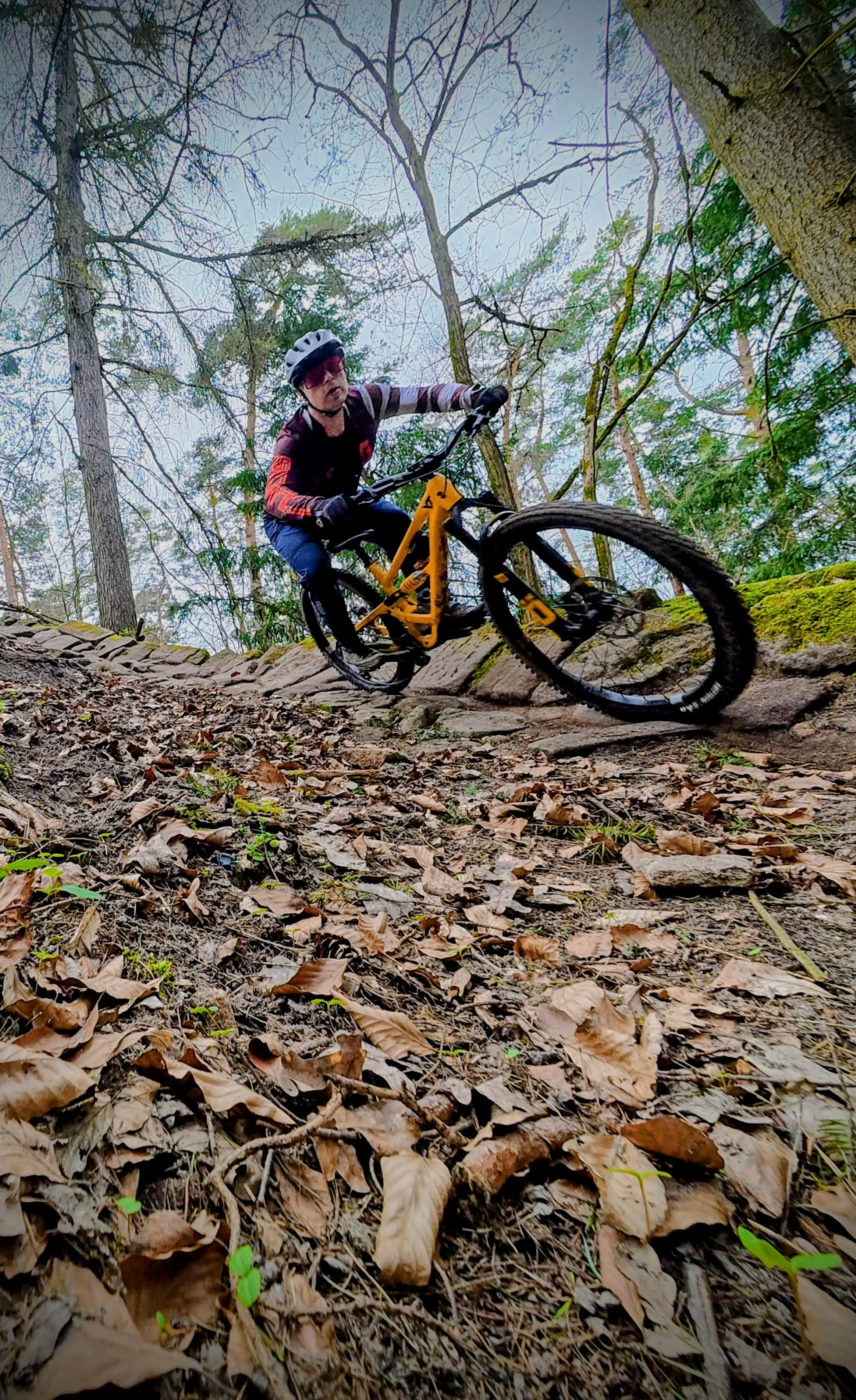 Fürth Trail 1